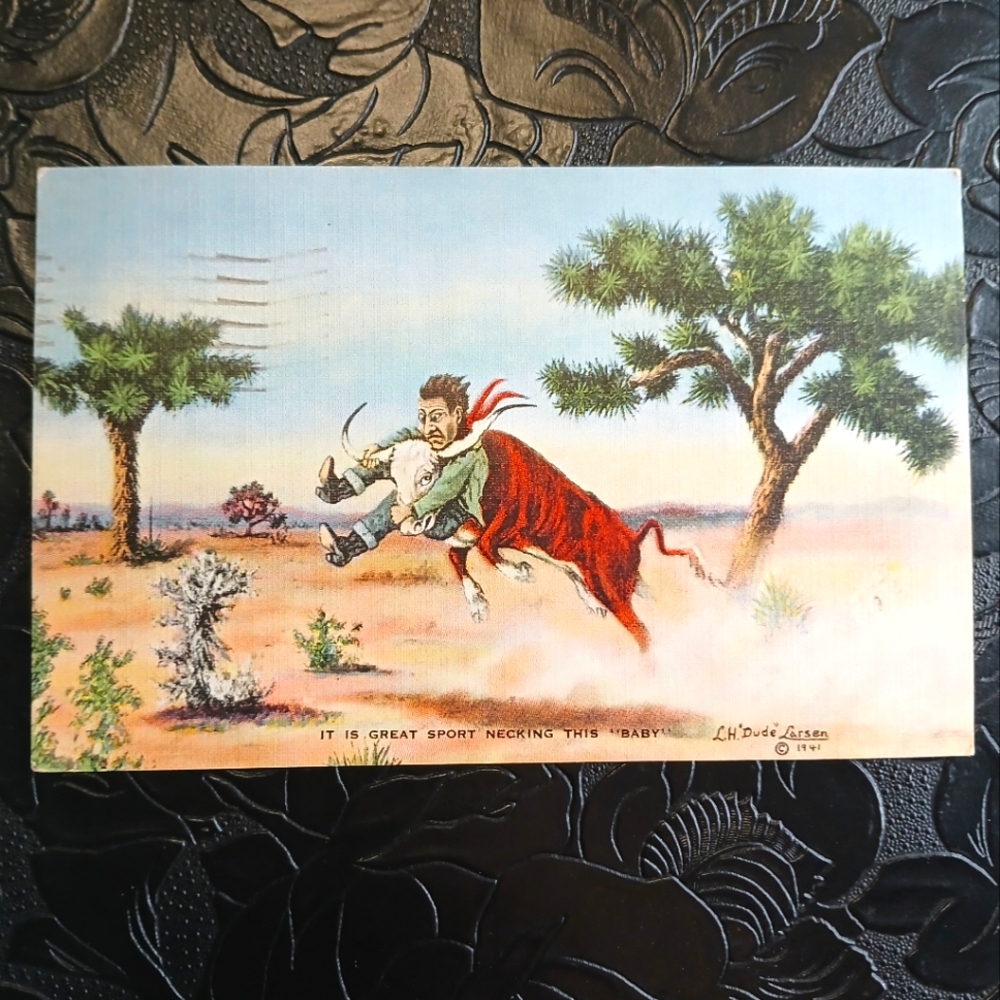 LH‎ Dude Larson "Great Sport Necking This Baby" VTG Postcard